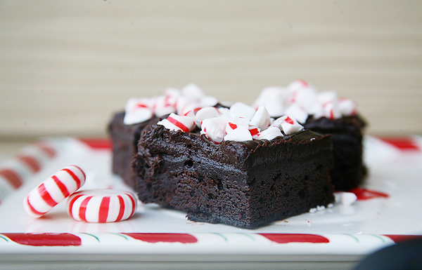 The Best Peppermint Brownies