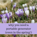 Why a portable generator helps with our family's peace of mind