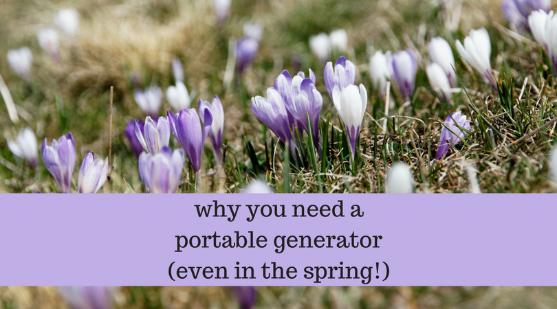 Why a portable generator helps with our family's peace of mind