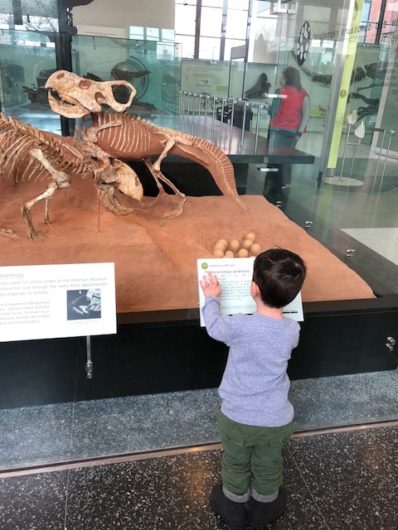 museums for kids in NYC