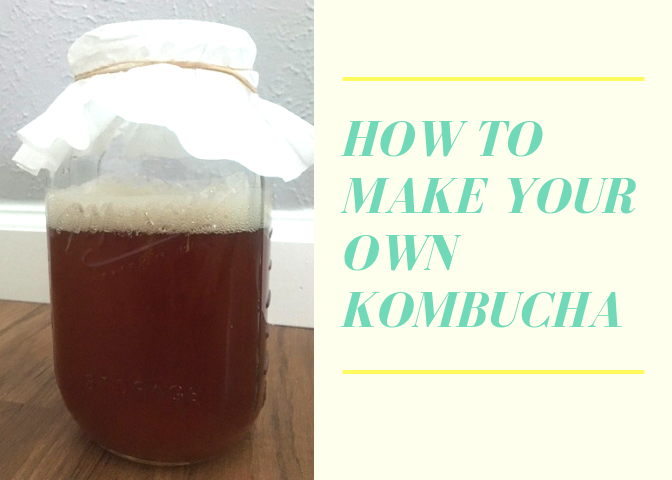 how to make your own kombucha