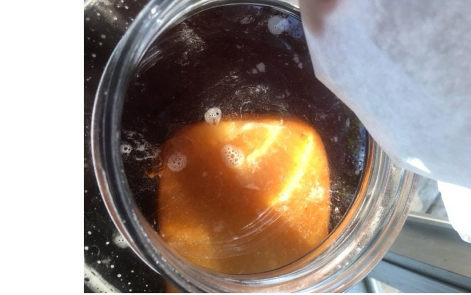 how to start a scoby